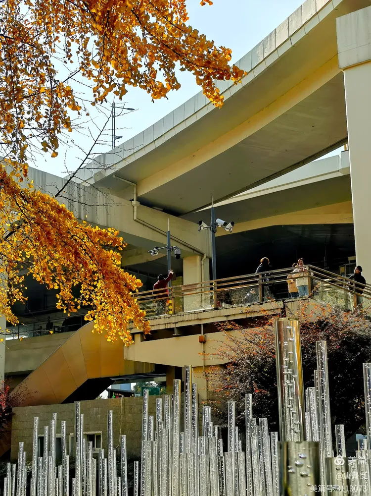 汶水路地铁站的秋色